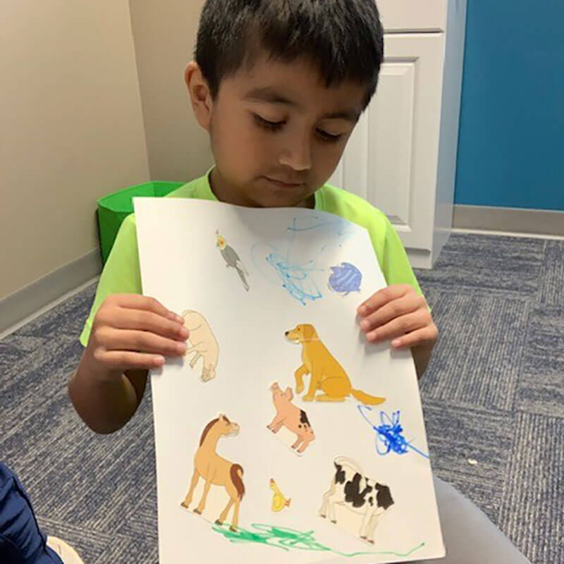Boy with picture of animals.