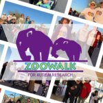 Zoowalk for Autism Research | AZ